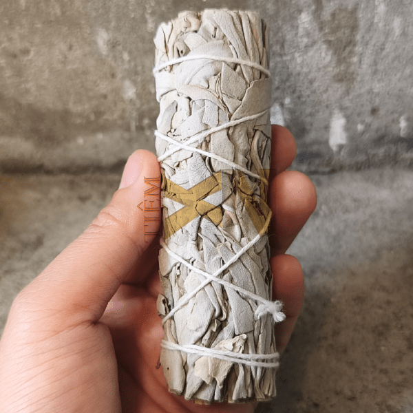 Thanh-XoThom-Trang_White-Sage-TiemXIN-01